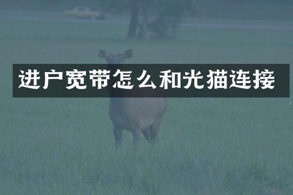 进户宽带怎么和光猫连接