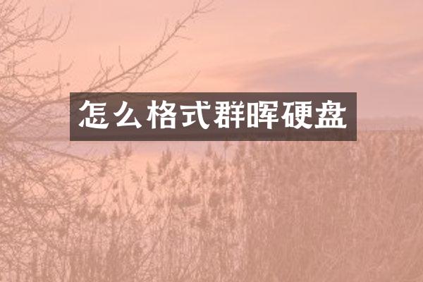 怎么格式群晖硬盘