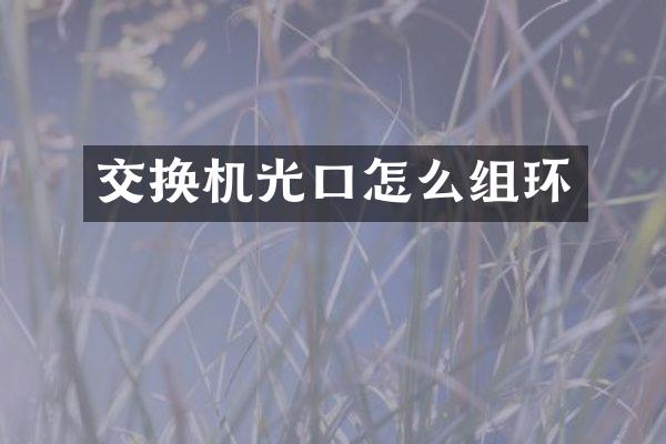 交换机光口怎么组环