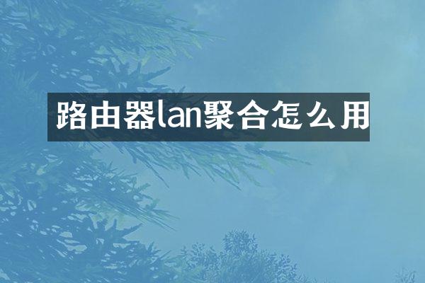 路由器lan聚合怎么用