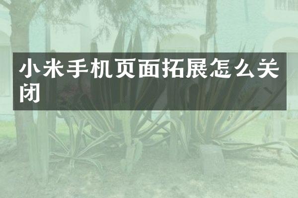 小米手机页面拓展怎么关闭