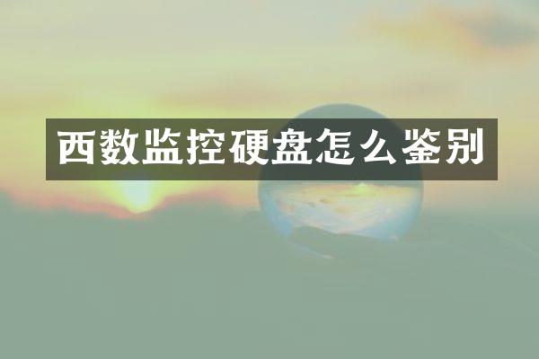 西数监控硬盘怎么鉴别