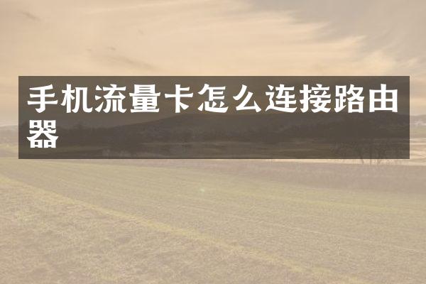 手机流量卡怎么连接路由器