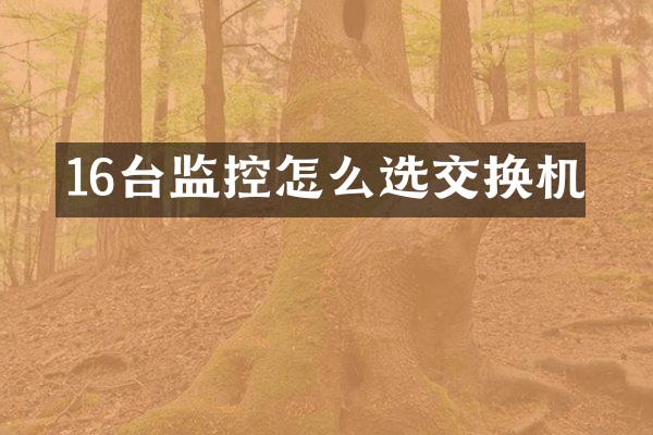 16台监控怎么选交换机