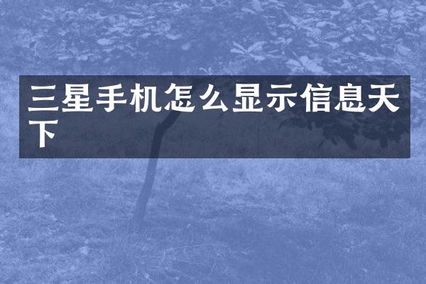三星手机怎么显示信息天下