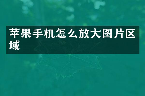 苹果手机怎么放大图片区域