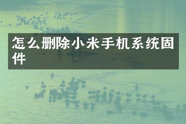 怎么删除小米手机系统固件
