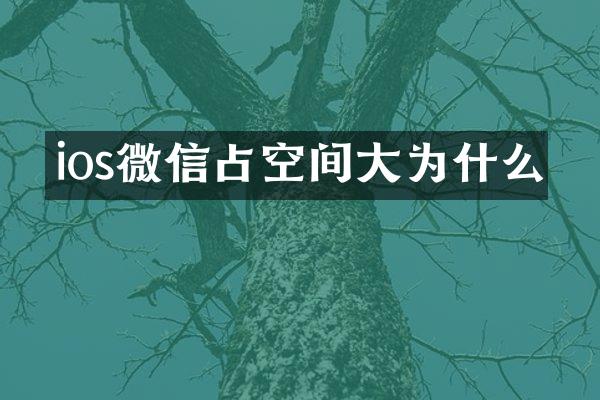 ios微信占空间大为什么