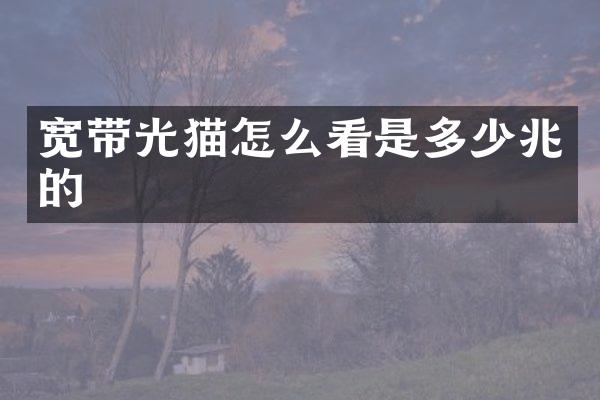 宽带光猫怎么看是多少兆的