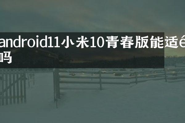 android11小米10青春版能适配吗
