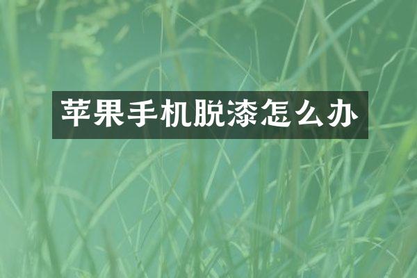 苹果手机脱漆怎么办