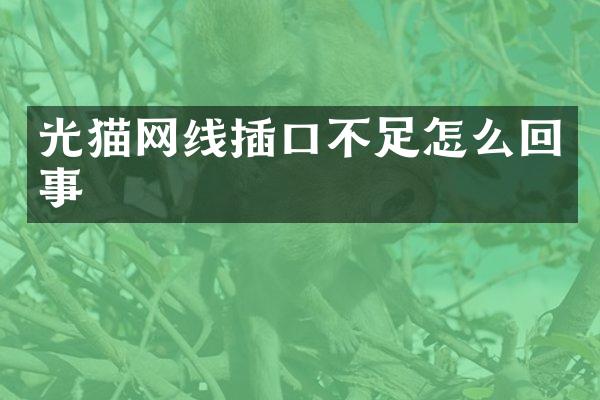 光猫网线插口不足怎么回事
