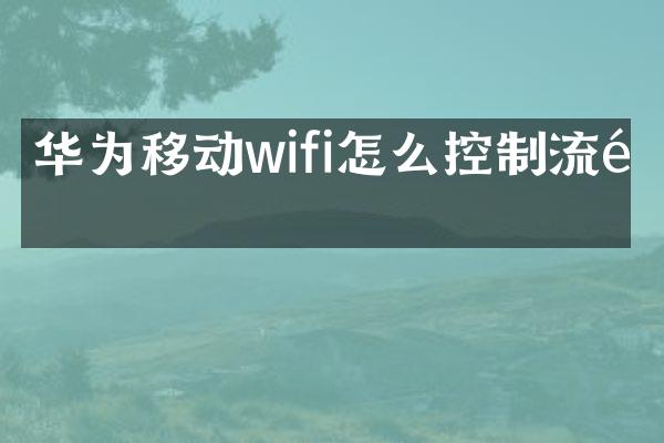 华为移动wifi怎么控制流量