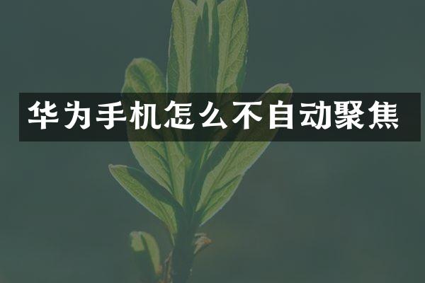华为手机怎么不自动聚焦