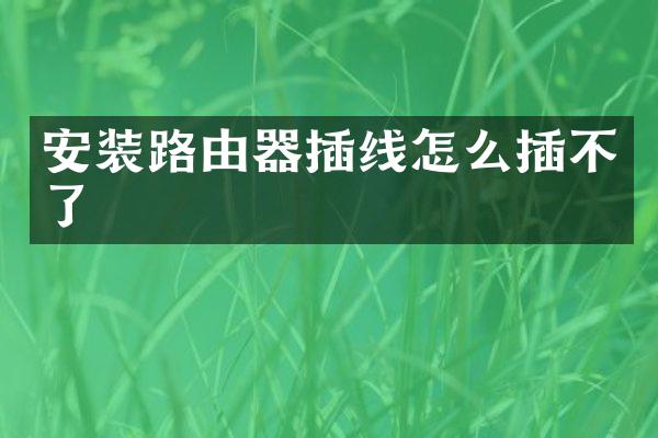 安装路由器插线怎么插不了