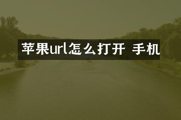 苹果url怎么打开 手机
