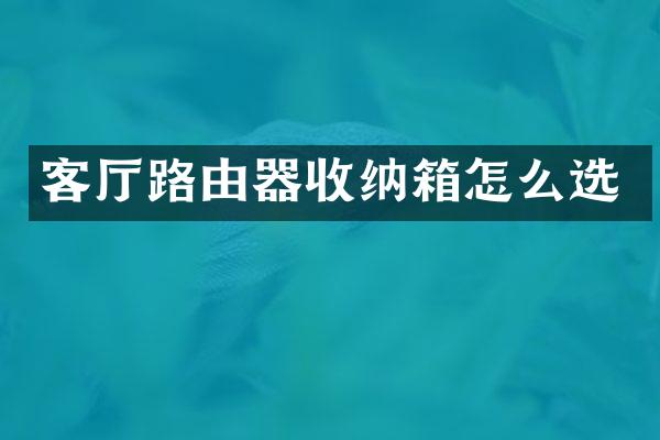 客厅路由器收纳箱怎么选