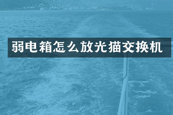 弱电箱怎么放光猫交换机