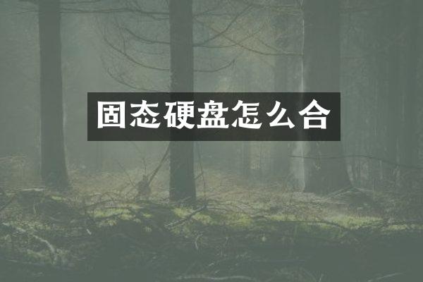 固态硬盘怎么合