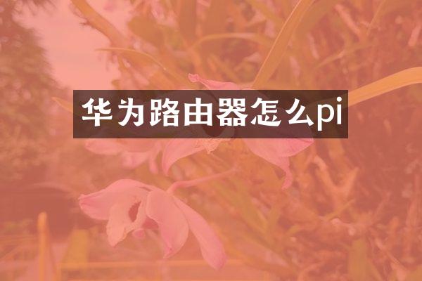 华为路由器怎么pi