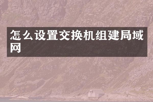 怎么设置交换机组建局域网