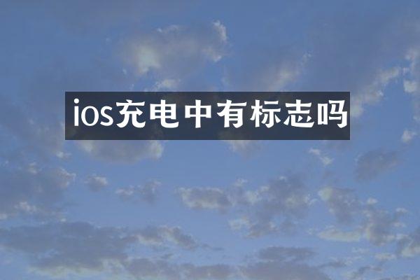 ios充电中有标志吗