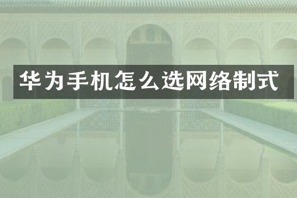 华为手机怎么选网络制式