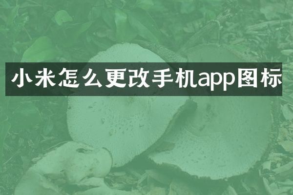 小米怎么更改手机app图标