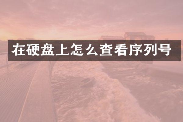 在硬盘上怎么查看序列号