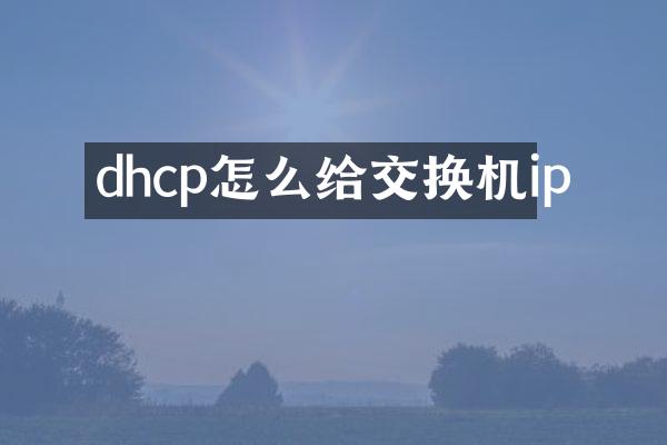 dhcp怎么给交换机ip