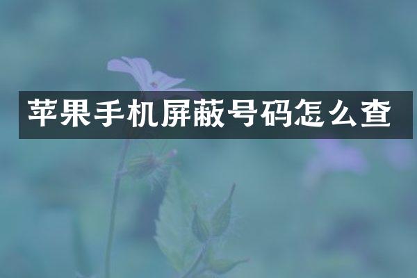 苹果手机屏蔽号码怎么查