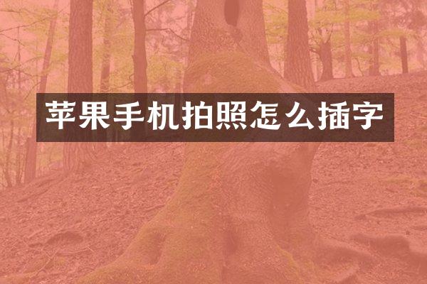苹果手机拍照怎么插字