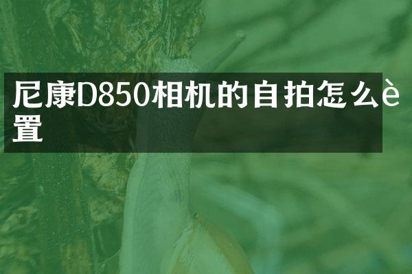 尼康D850相机的自拍怎么设置