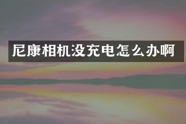 尼康相机没充电怎么办啊