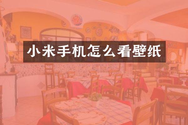 小米手机怎么看壁纸