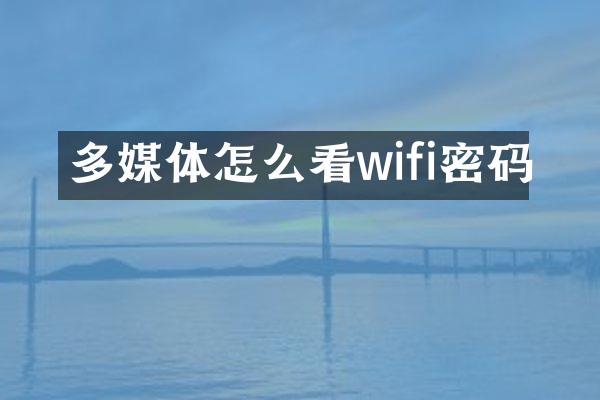多媒体怎么看wifi密码