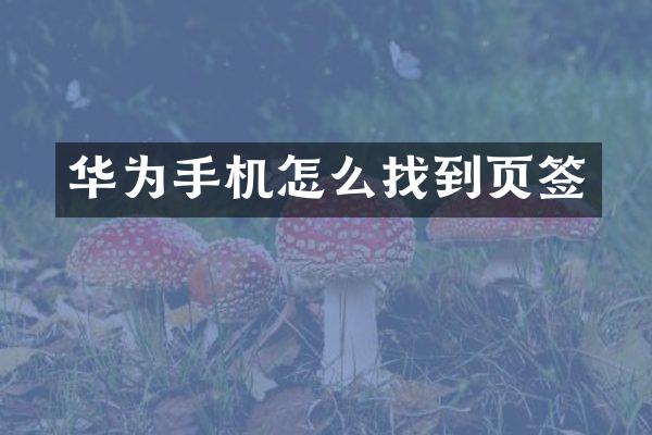 华为手机怎么找到页签