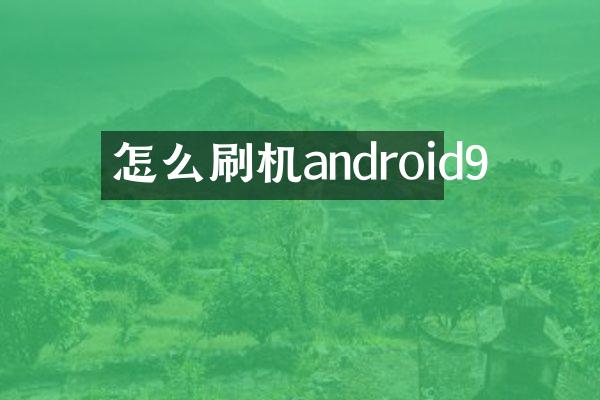 怎么刷机android9