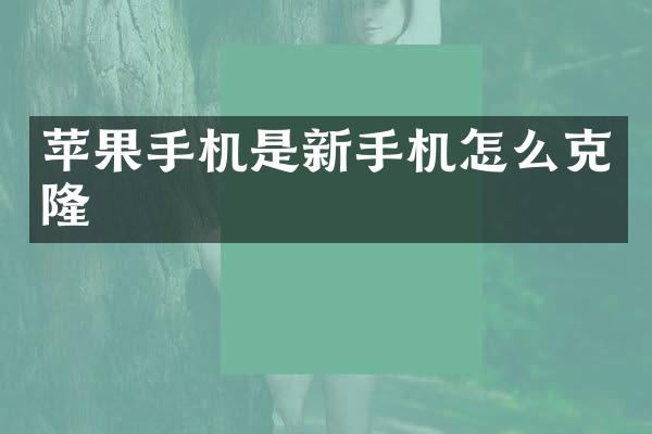 苹果手机是新手机怎么克隆