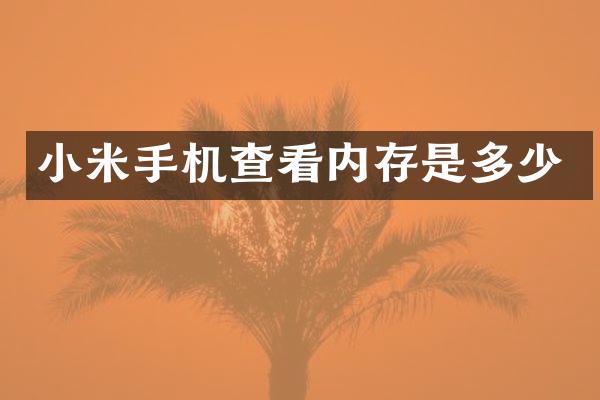小米手机查看内存是多少