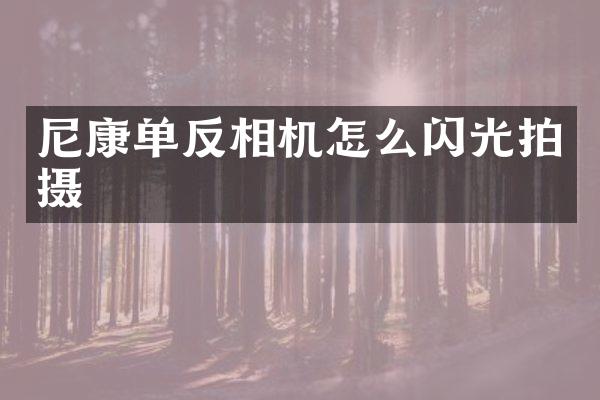 尼康单反相机怎么闪光拍摄