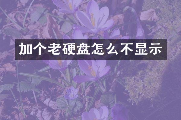 加个老硬盘怎么不显示