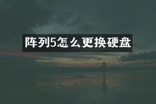 阵列5怎么更换硬盘