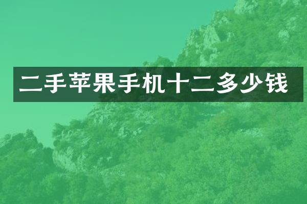 二手苹果手机十二多少钱