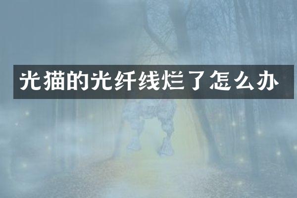 光猫的光纤线烂了怎么办