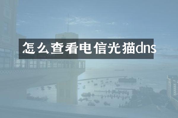 怎么查看电信光猫dns