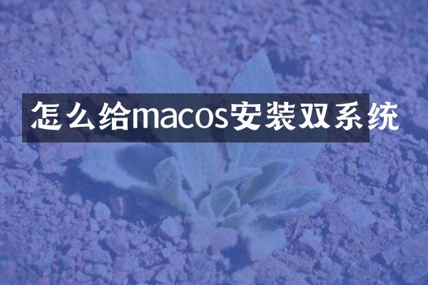 怎么给macos安装双系统