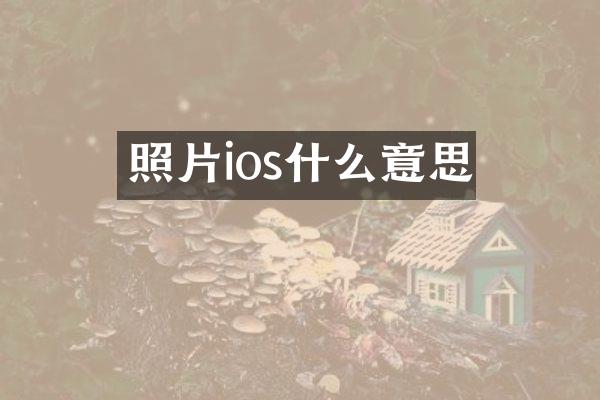 照片ios什么意思