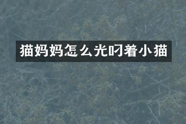 猫妈妈怎么光叼着小猫