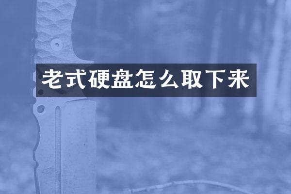 老式硬盘怎么取下来